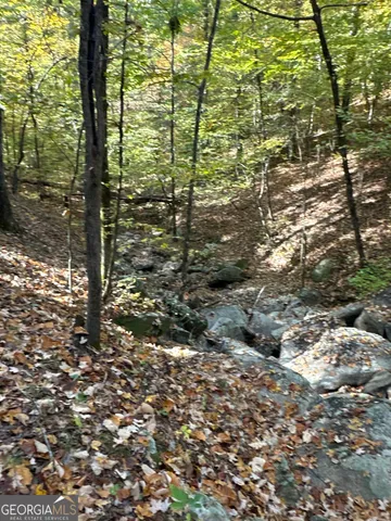 $404,389 | 0 Dennis Creek Road, Talbotton, GA 31827