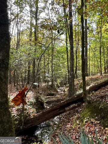 $404,389 | 0 Dennis Creek Road, Talbotton, GA 31827