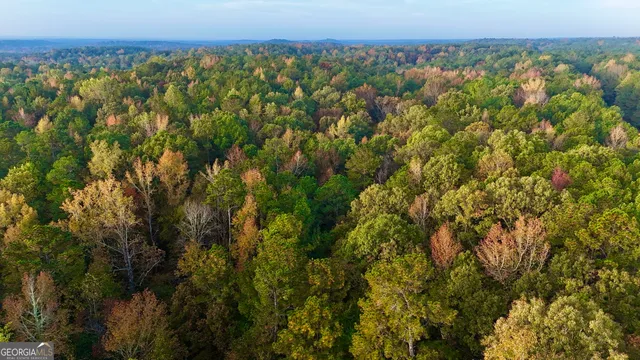 $404,389 | 0 Dennis Creek Road, Talbotton, GA 31827