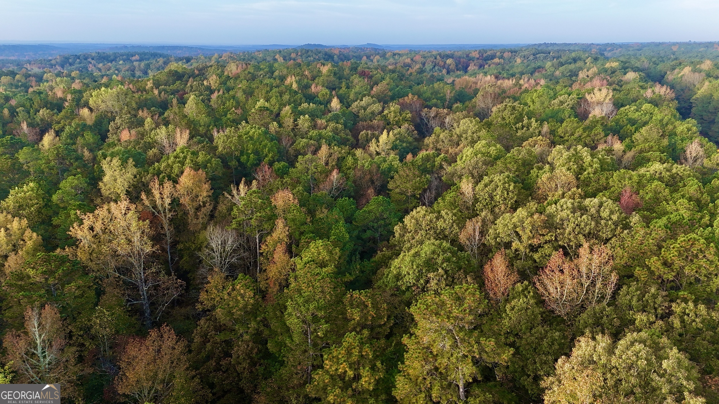 0 Dennis Creek Road Talbotton, GA 31827 - Photo 5 of 24