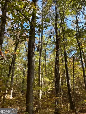 $404,389 | 0 Dennis Creek Road, Talbotton, GA 31827