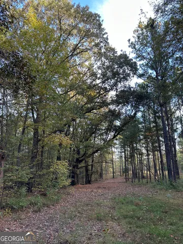 $404,389 | 0 Dennis Creek Road, Talbotton, GA 31827