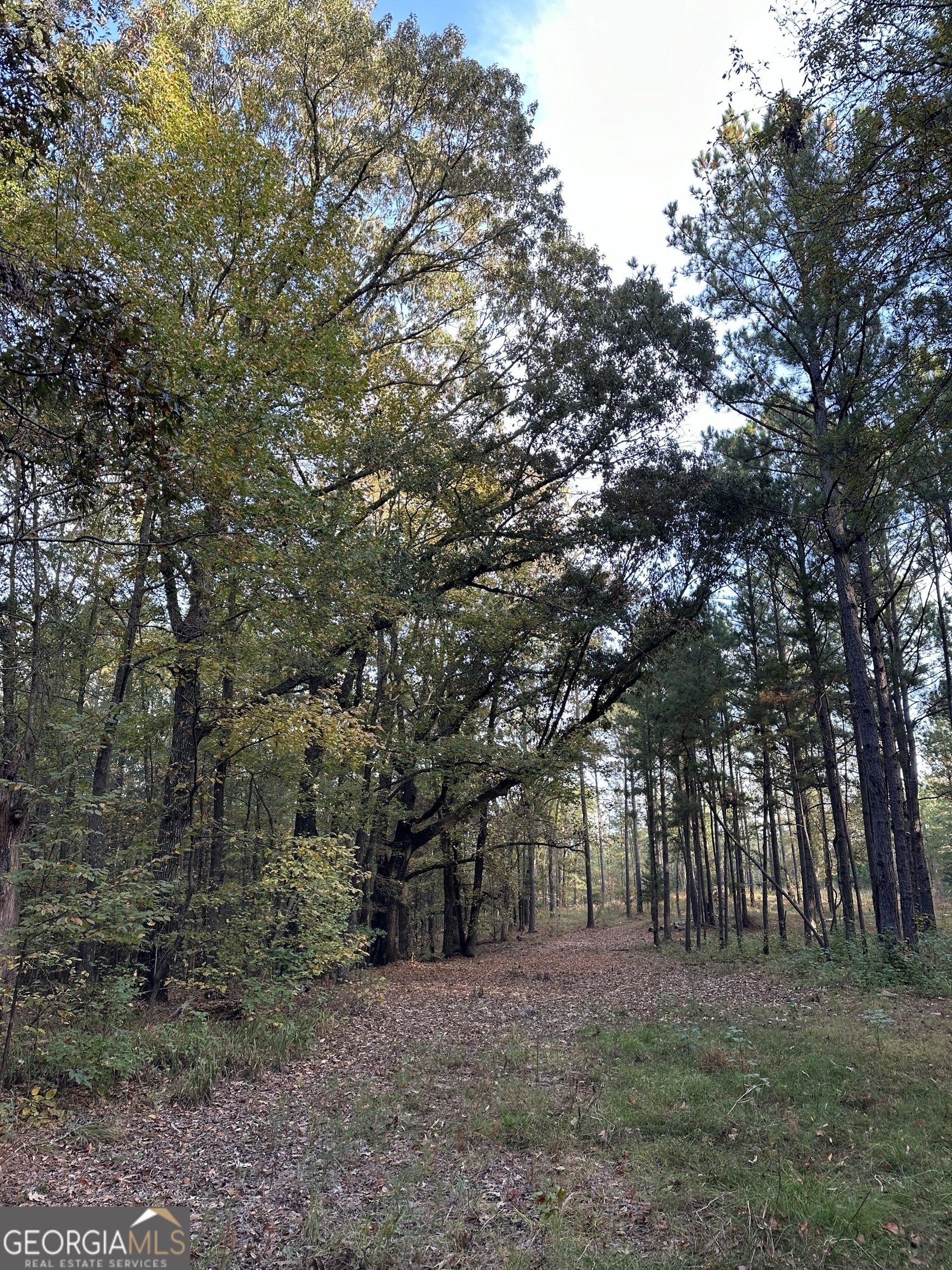 0 Dennis Creek Road Talbotton, GA 31827 - Photo 7 of 24