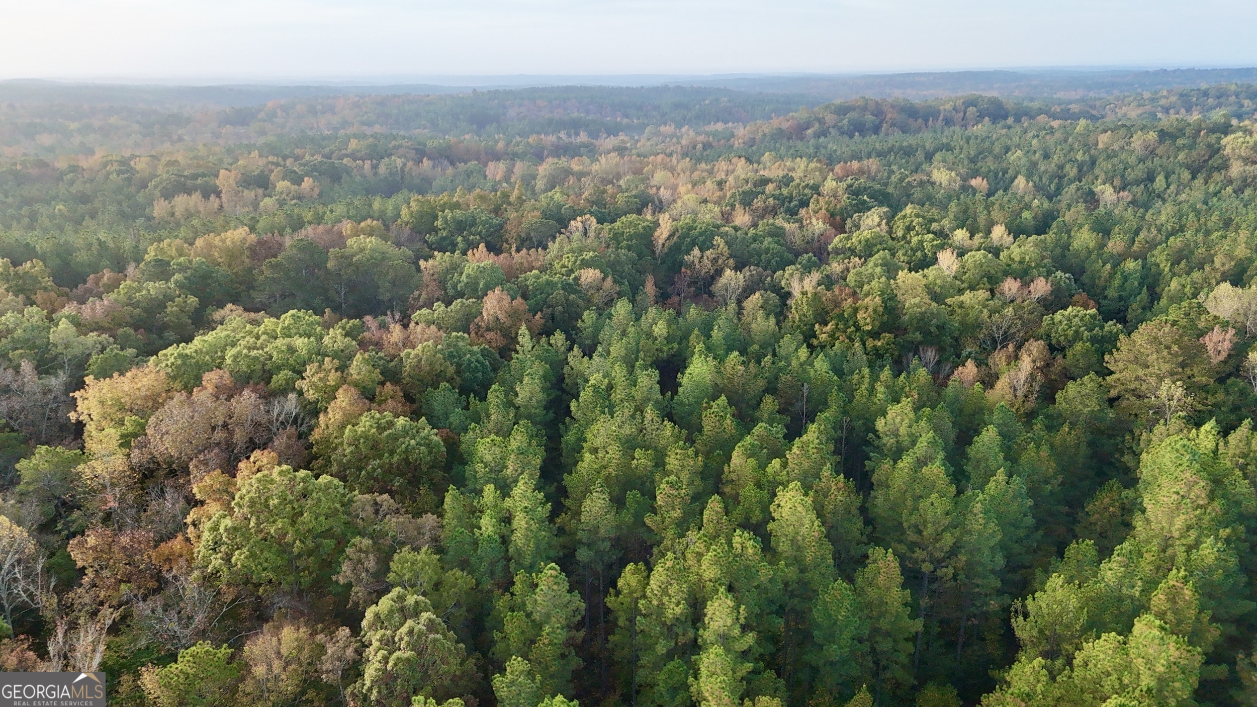 0 Dennis Creek Road Talbotton, GA 31827 - Photo 8 of 24