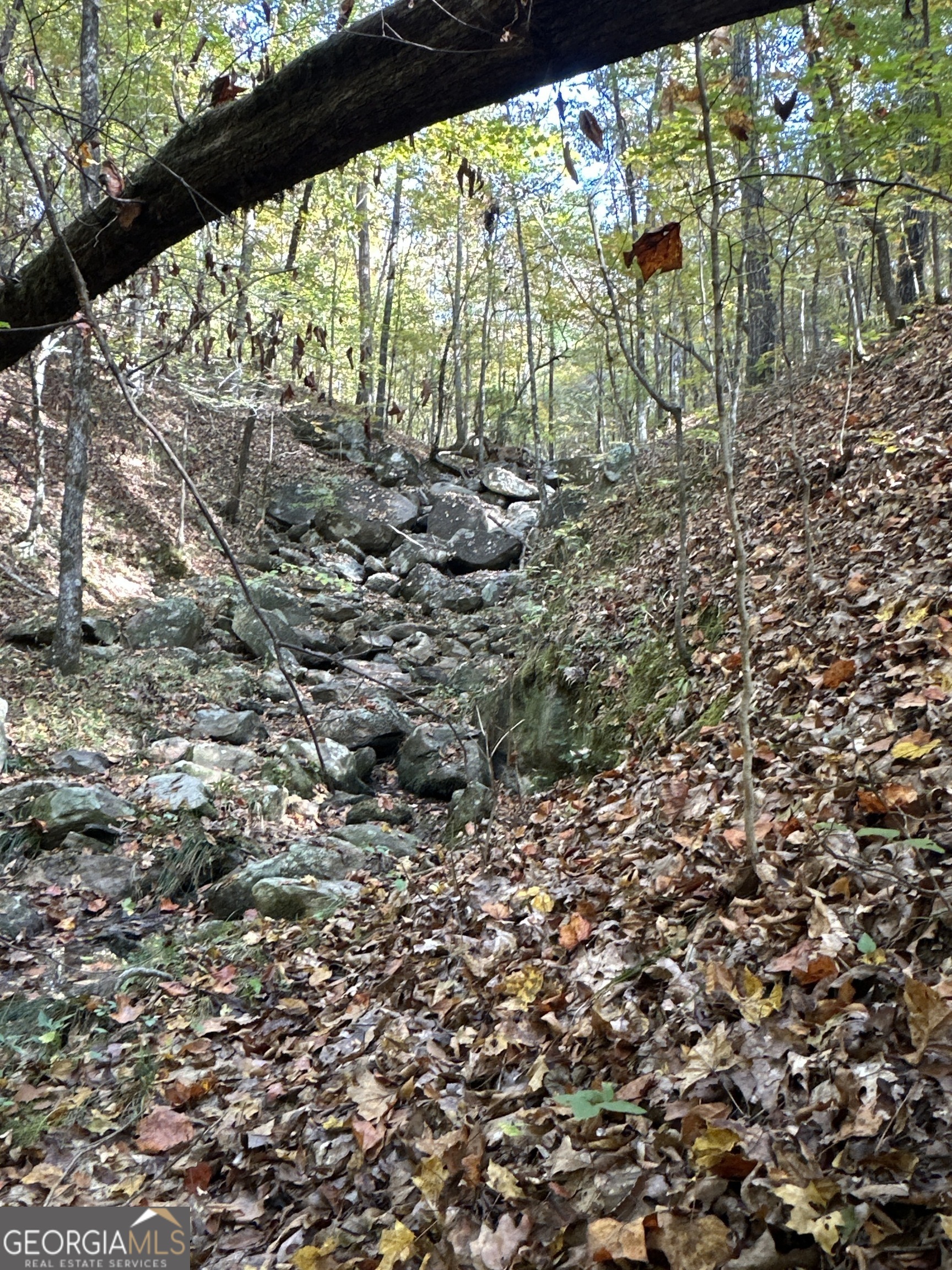 0 Dennis Creek Road Talbotton, GA 31827 - Photo 10 of 24