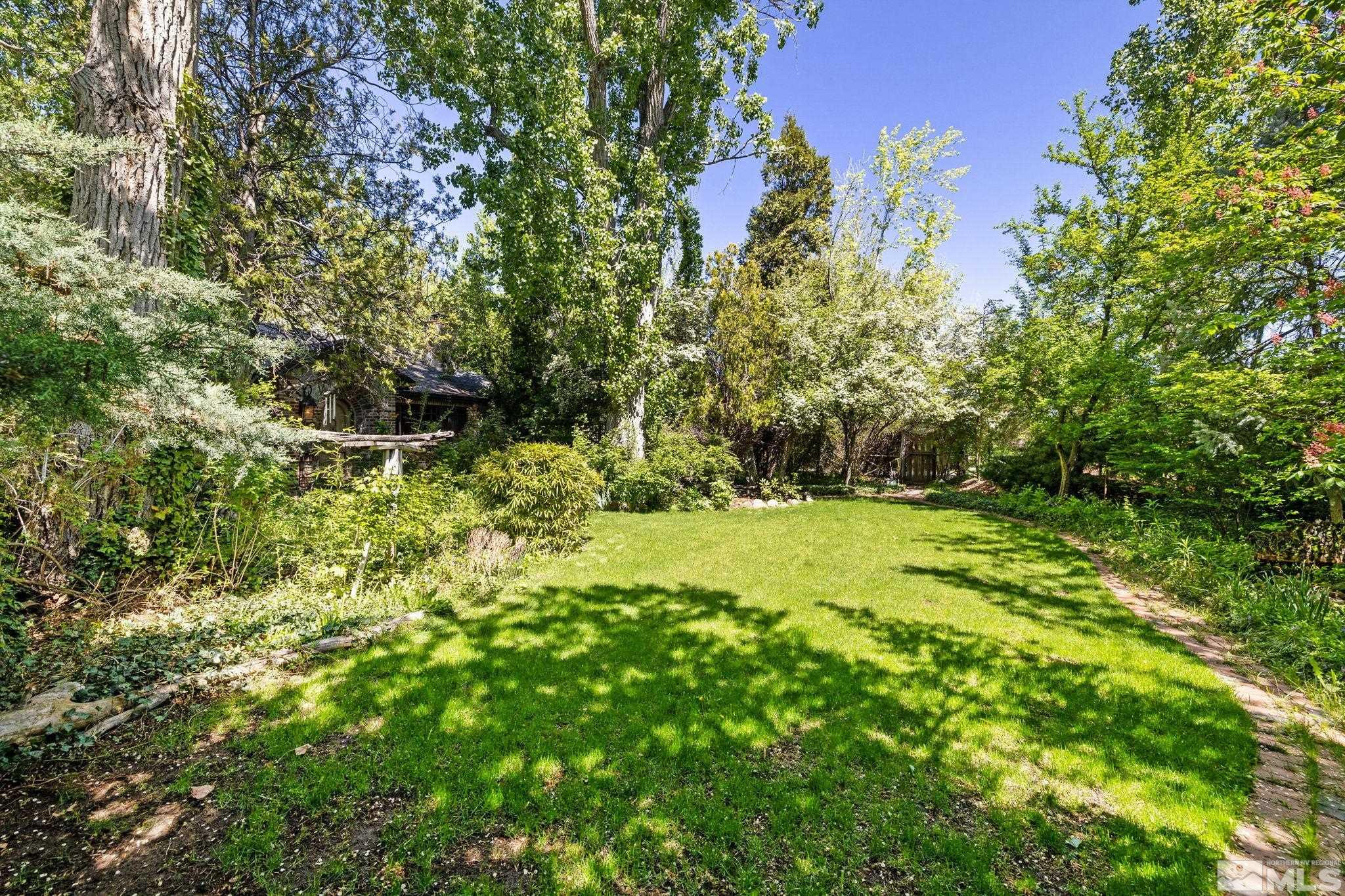 1555 Marsh Avenue Reno, NV 89509 - Photo 47 of 84 a view of a yard with plants and large trees
