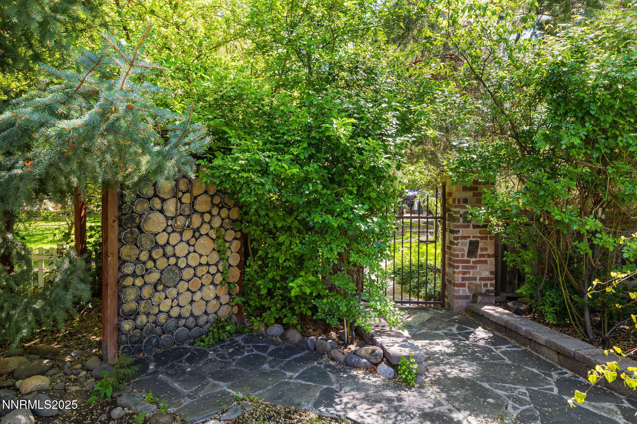 1555 Marsh Avenue Reno, NV 89509 - Photo 82 of 84 a view of a yard with plants and trees