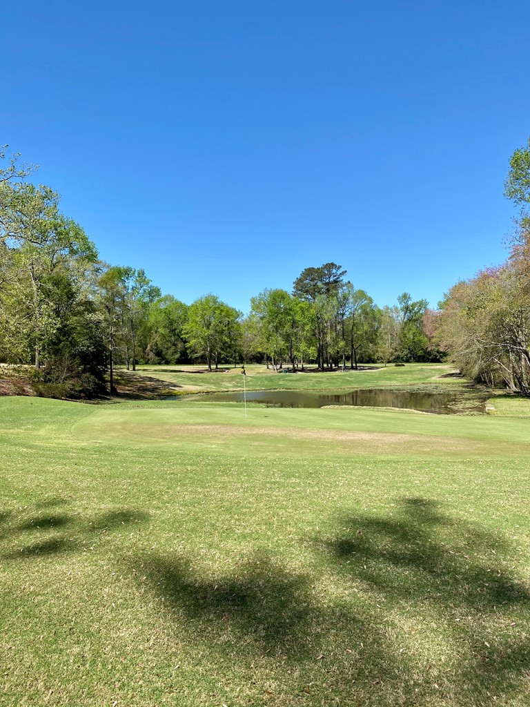 6715 Hidden Haven Road Sumter, SC 29154 - Photo 40 of 42