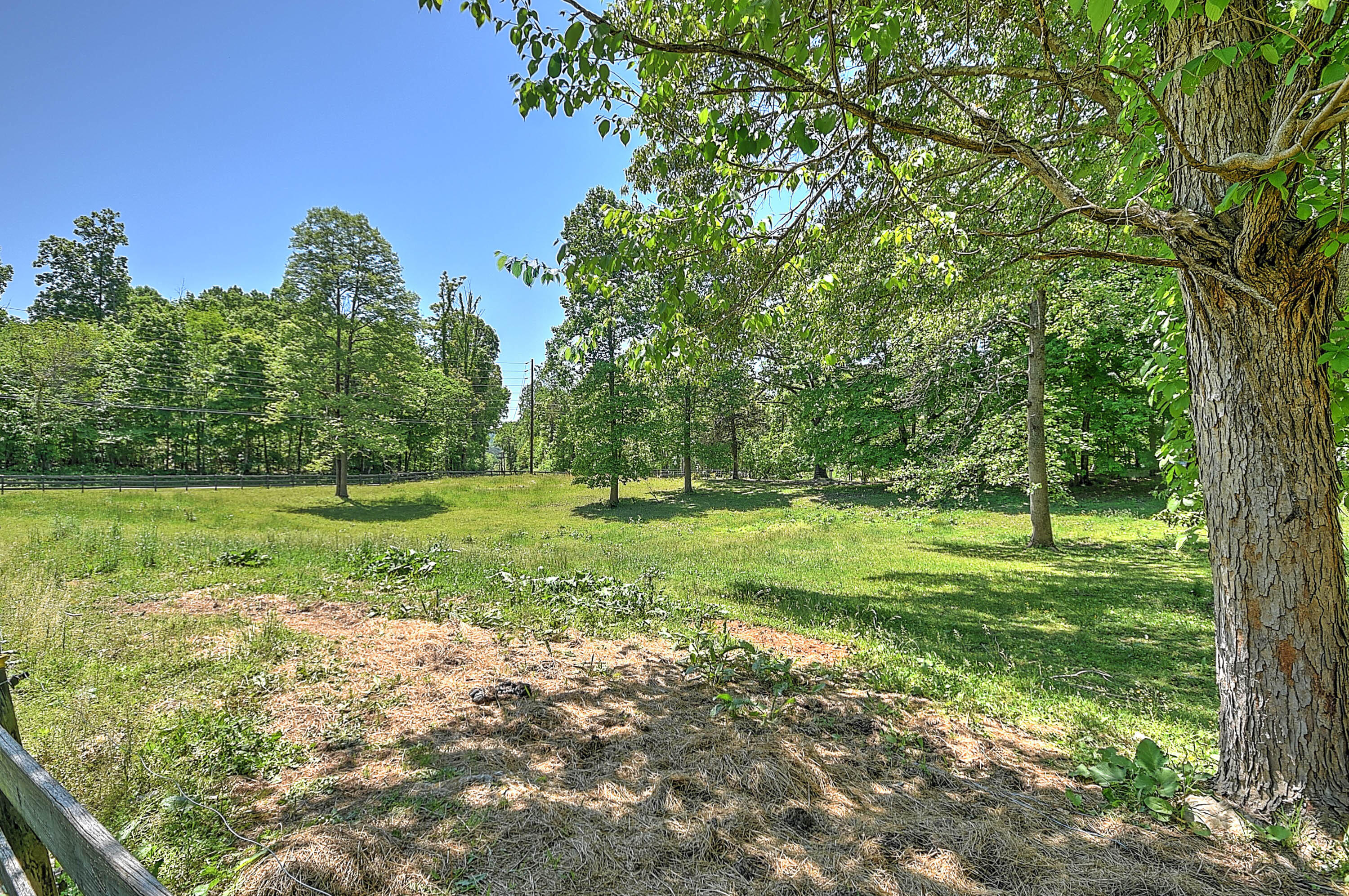 2185 Justice Road Afton, TN 37616 - Photo 40 of 53 Justice-40