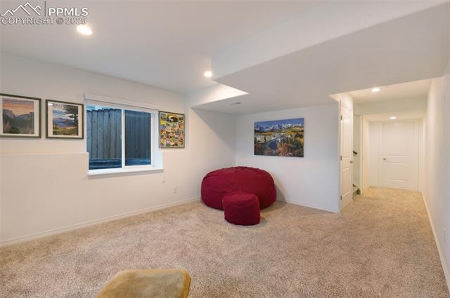 6038 Jorie Road Colorado Springs, CO 80927 - Photo 29 of 41