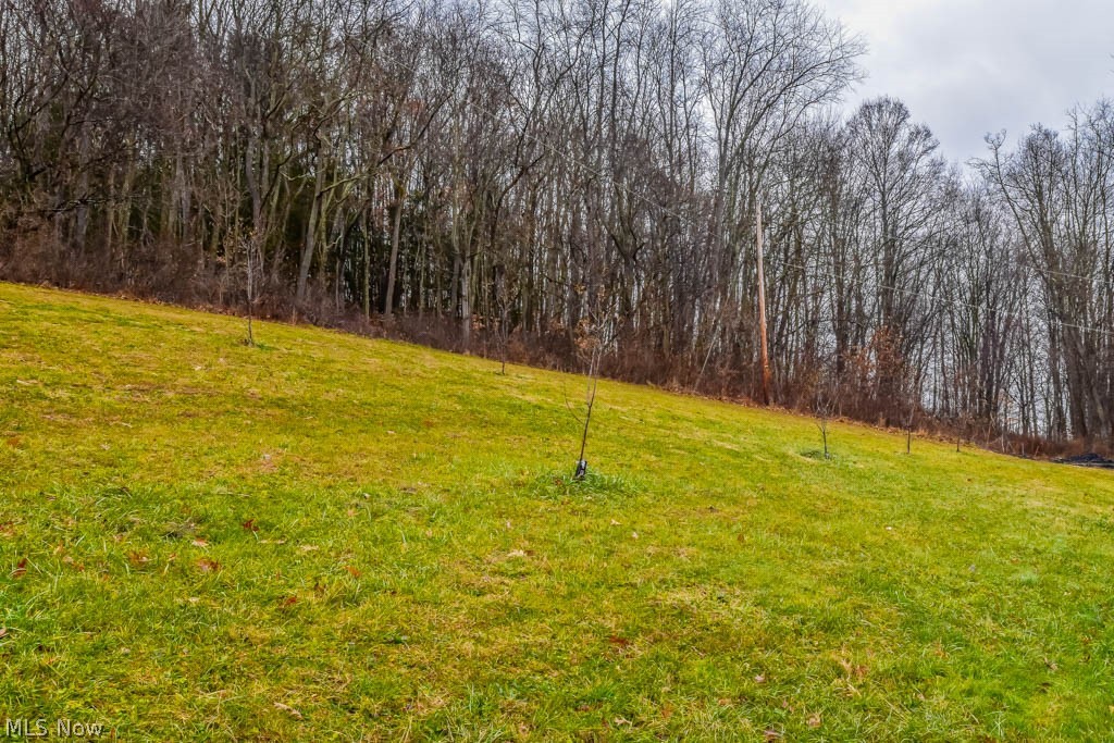 7130 Canal Road Northeast Dover, OH 44622 - Photo 28 of 30 Backyard
