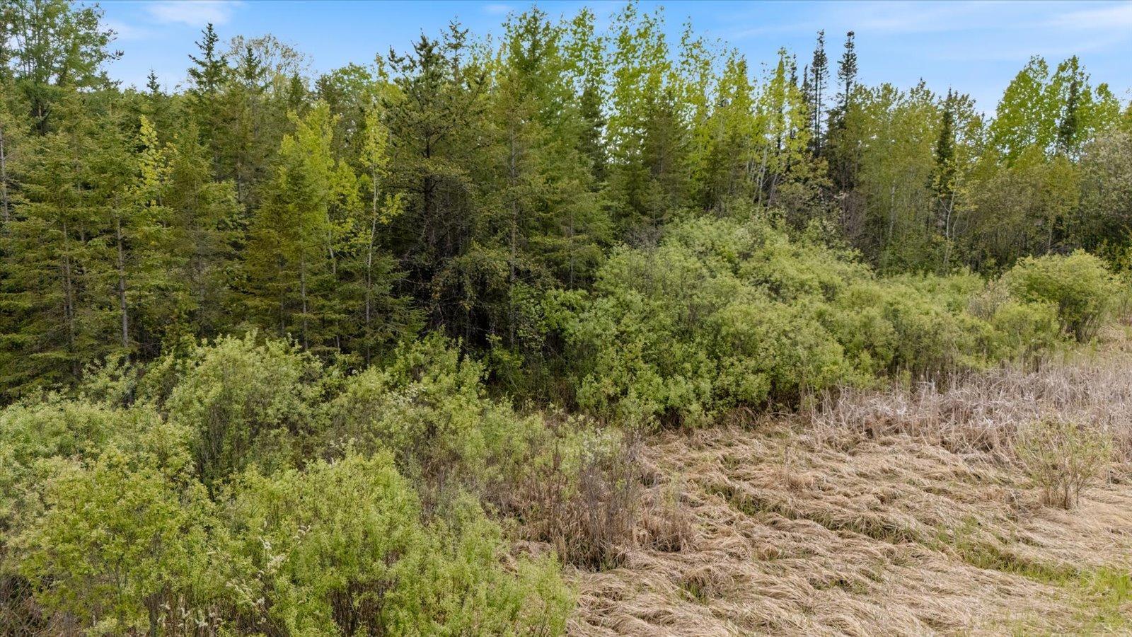 53 Cook Mn 55723 Cook, MN 55723 - Photo 12 of 25