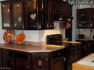 588 Ruth Street Geneva, OH 44041 - Photo 7 of 14 Gallery Image 7