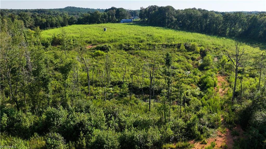 0 Hunt Road Denton, NC 27239 - Photo 17 of 24