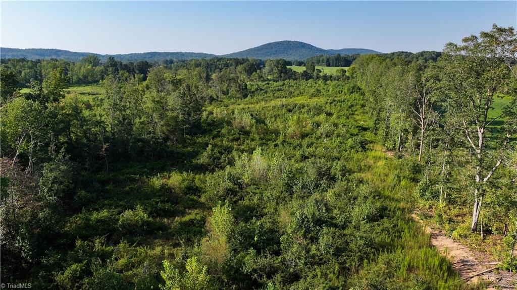 0 Hunt Road Denton, NC 27239 - Photo 20 of 24