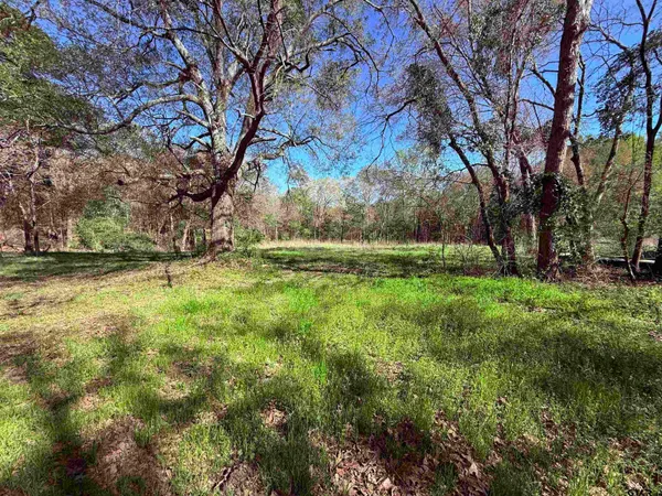 a view of outdoor space with deck and yard