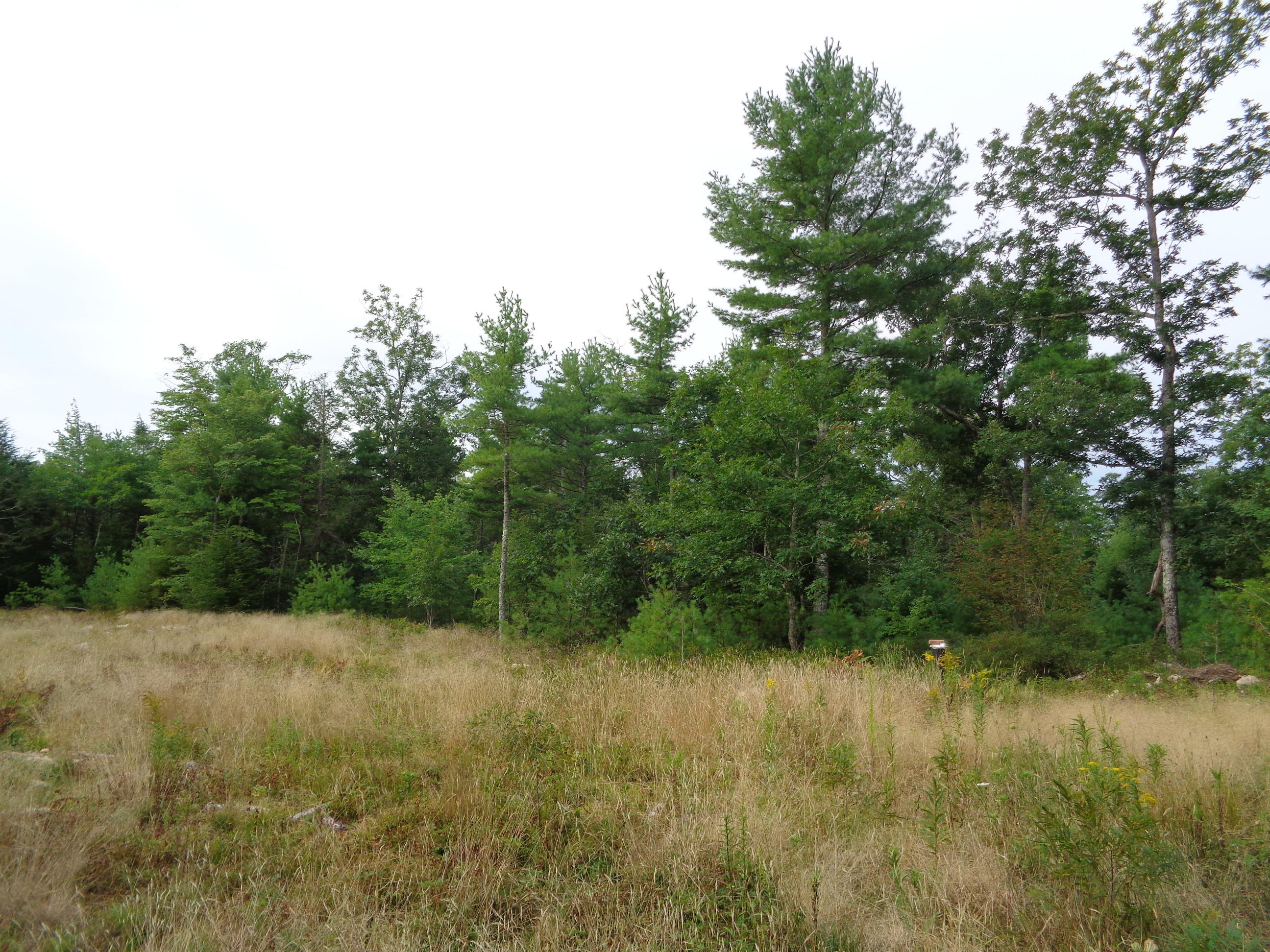 0 Hockomock Road Woolwich, ME 04579 - Photo 19 of 19 DSC00192