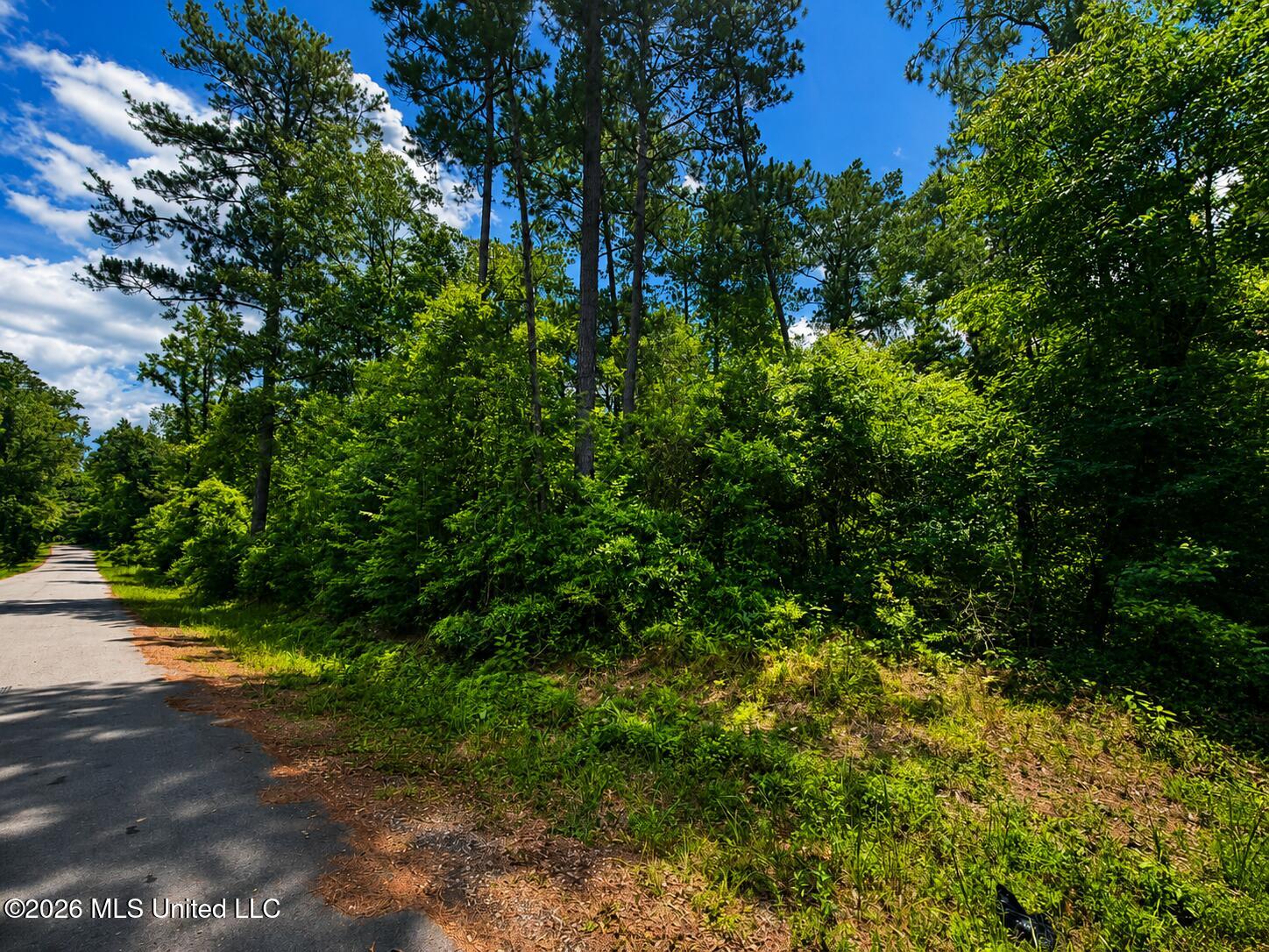 8.2-acres Breland Road McLain, MS 39456 - Photo 4 of 11 Land