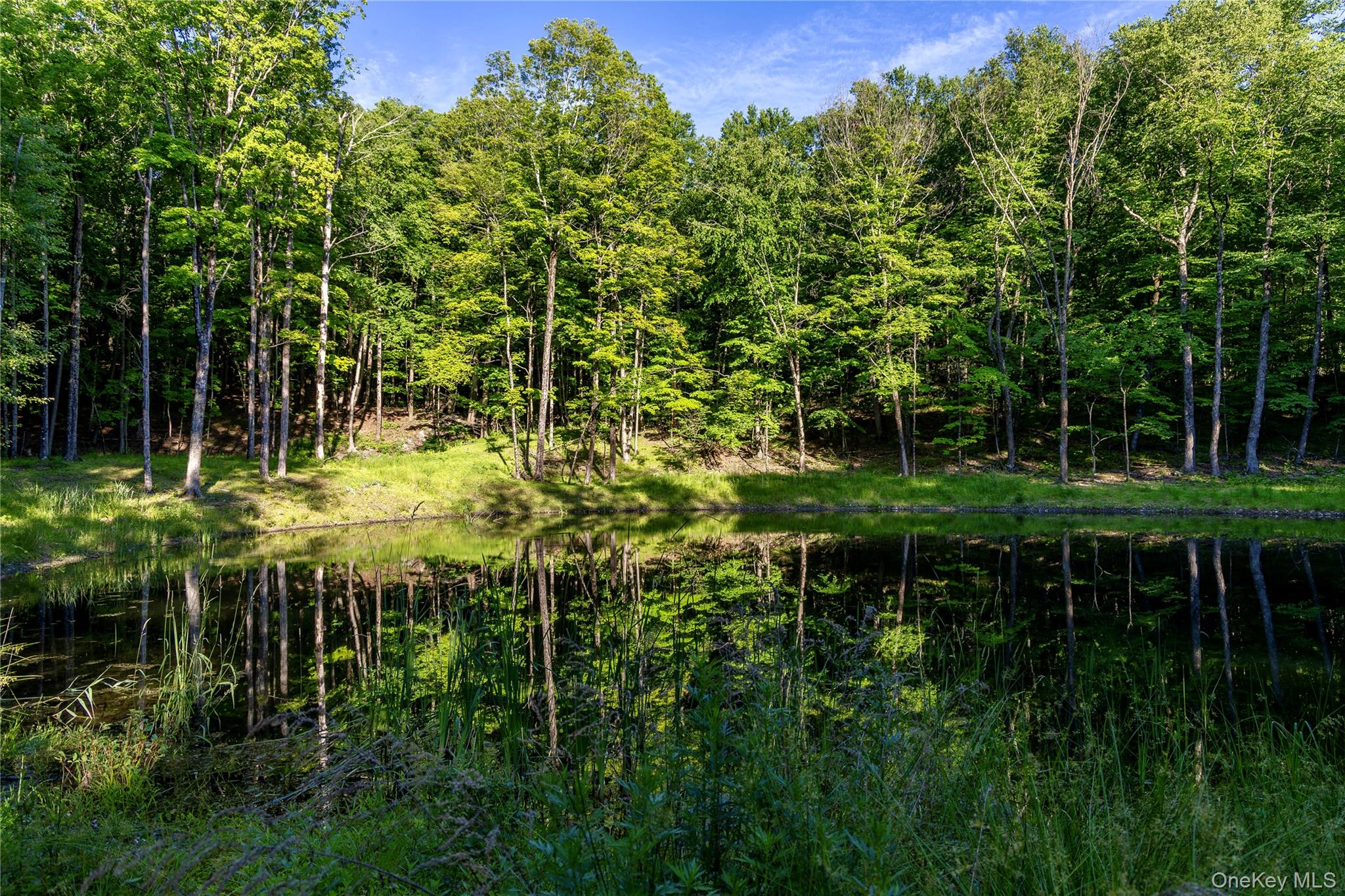 Mallory Road Verbank, NY 12585 - Photo 16 of 16