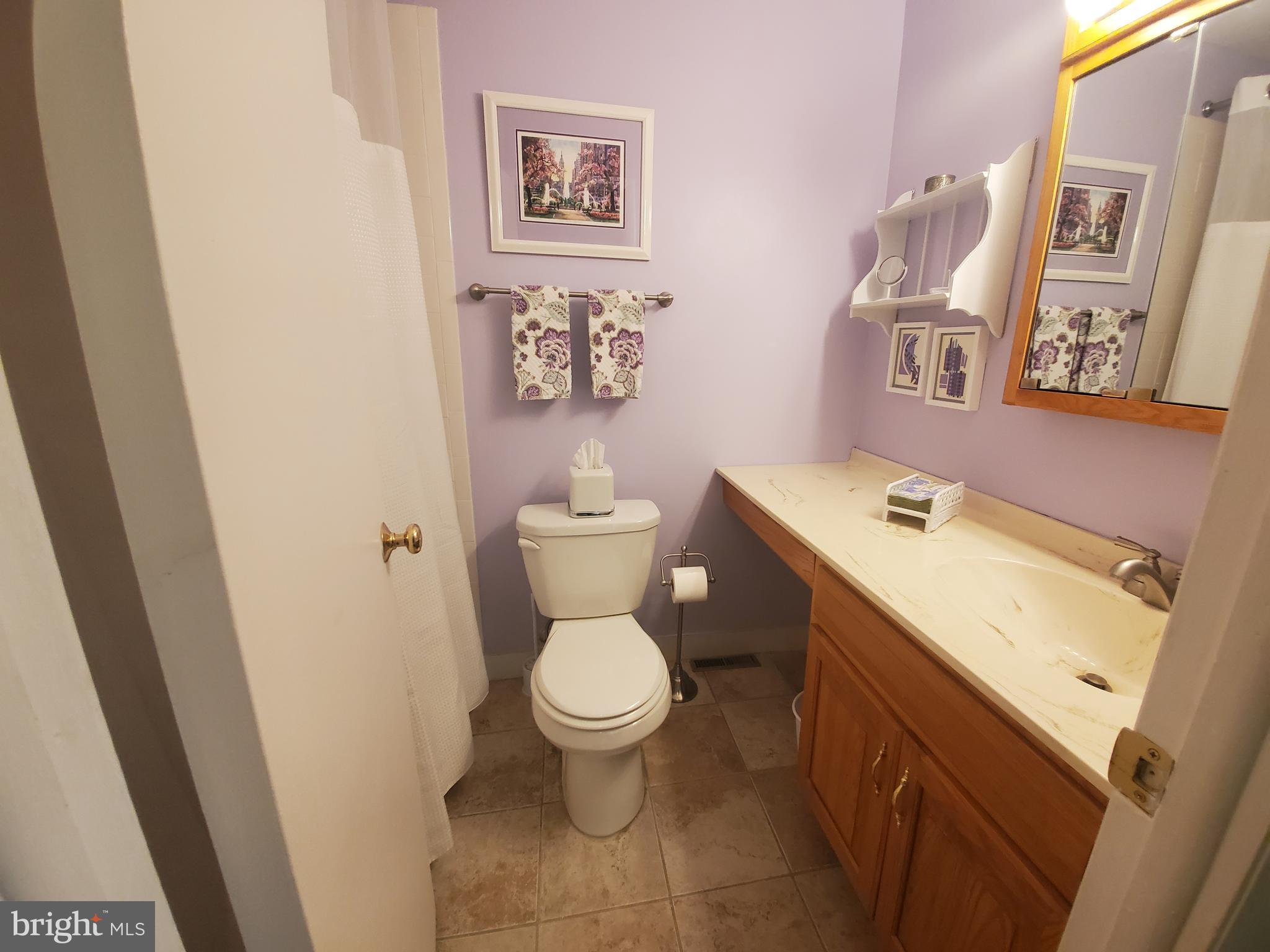 3402 Embarcadero Court Springfield, PA 19064 - Photo 27 of 27 Main bathroom