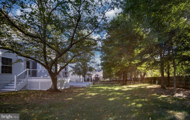a tree in the middle of a yard