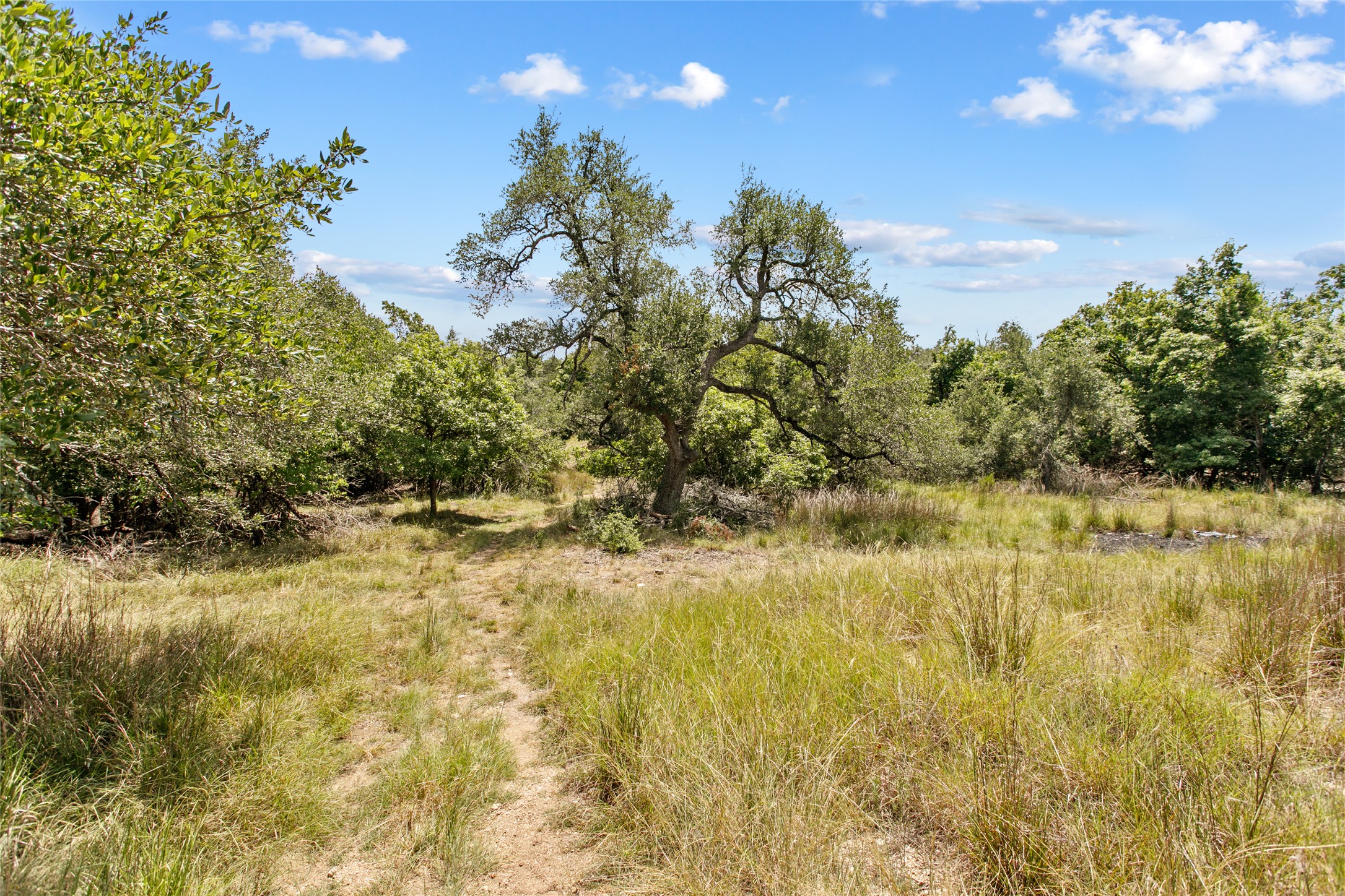 150 Oak Grove Drive Dripping Springs, TX 78620 - Photo 1 of 33 a view of lake view and mountain view