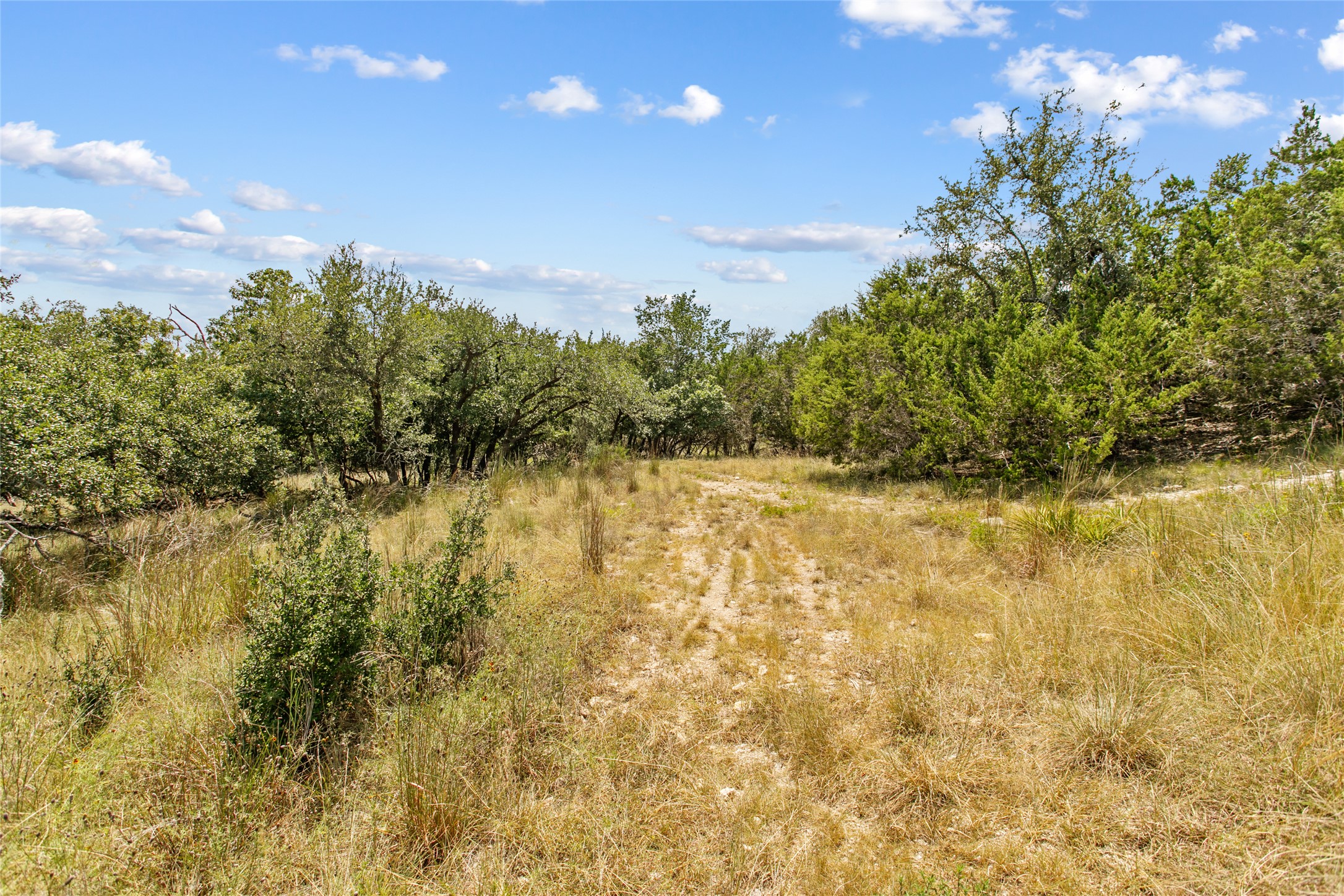 150 Oak Grove Drive Dripping Springs, TX 78620 - Photo 12 of 33 a view of lake view and mountain view