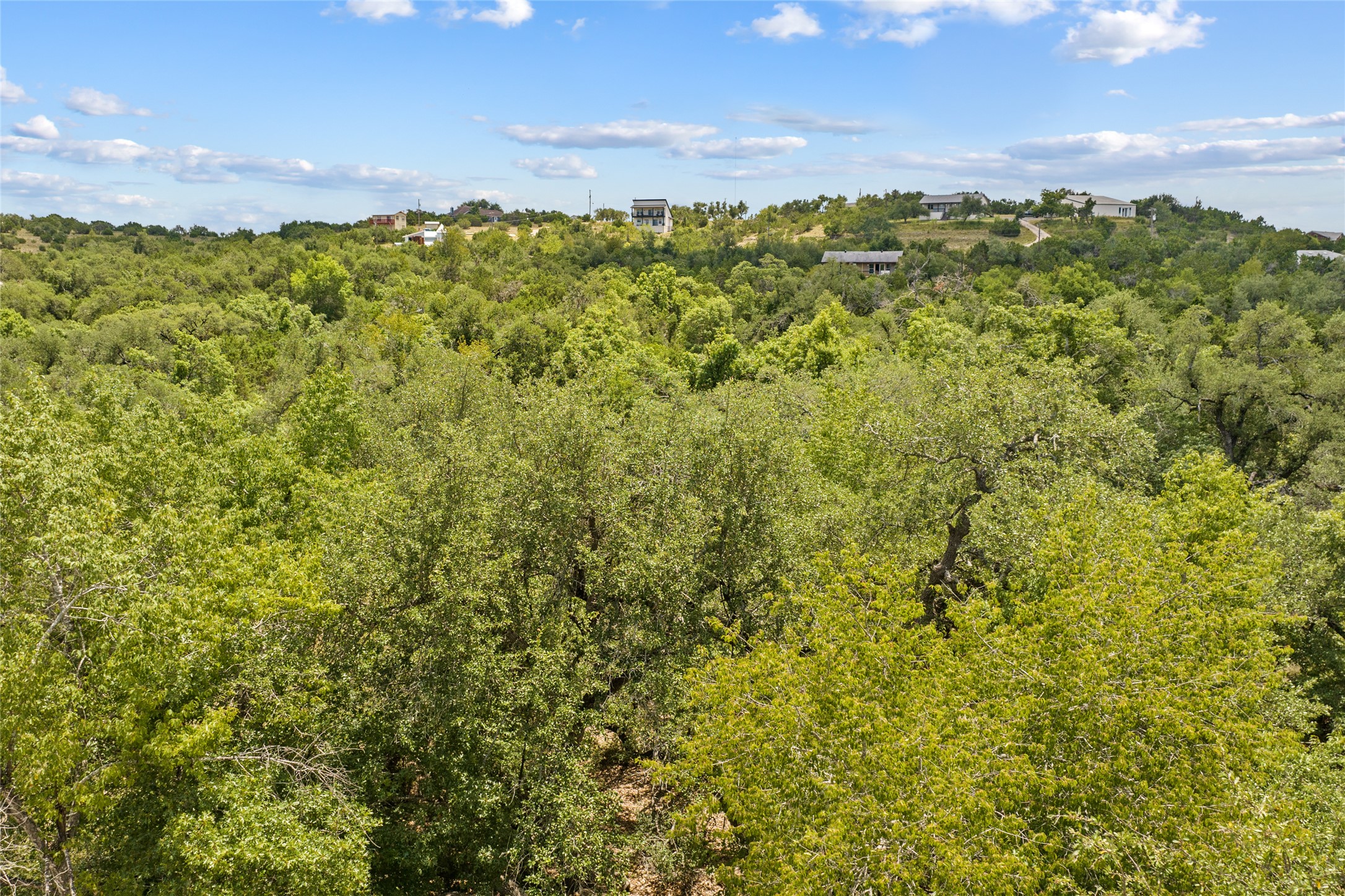 150 Oak Grove Drive Dripping Springs, TX 78620 - Photo 26 of 33 a view of a large yard with lots of green space