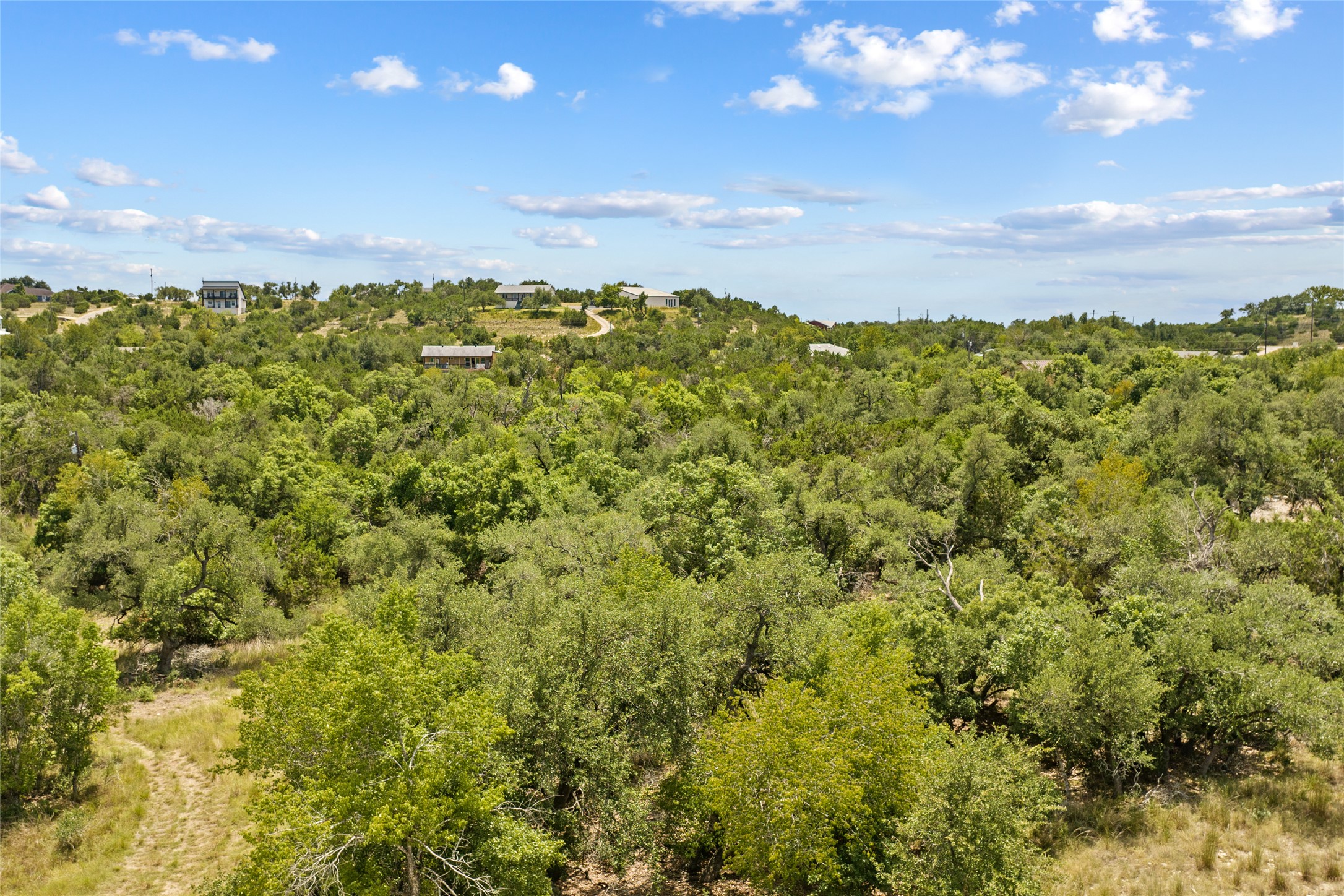 150 Oak Grove Drive Dripping Springs, TX 78620 - Photo 29 of 33 a view of a bunch of trees