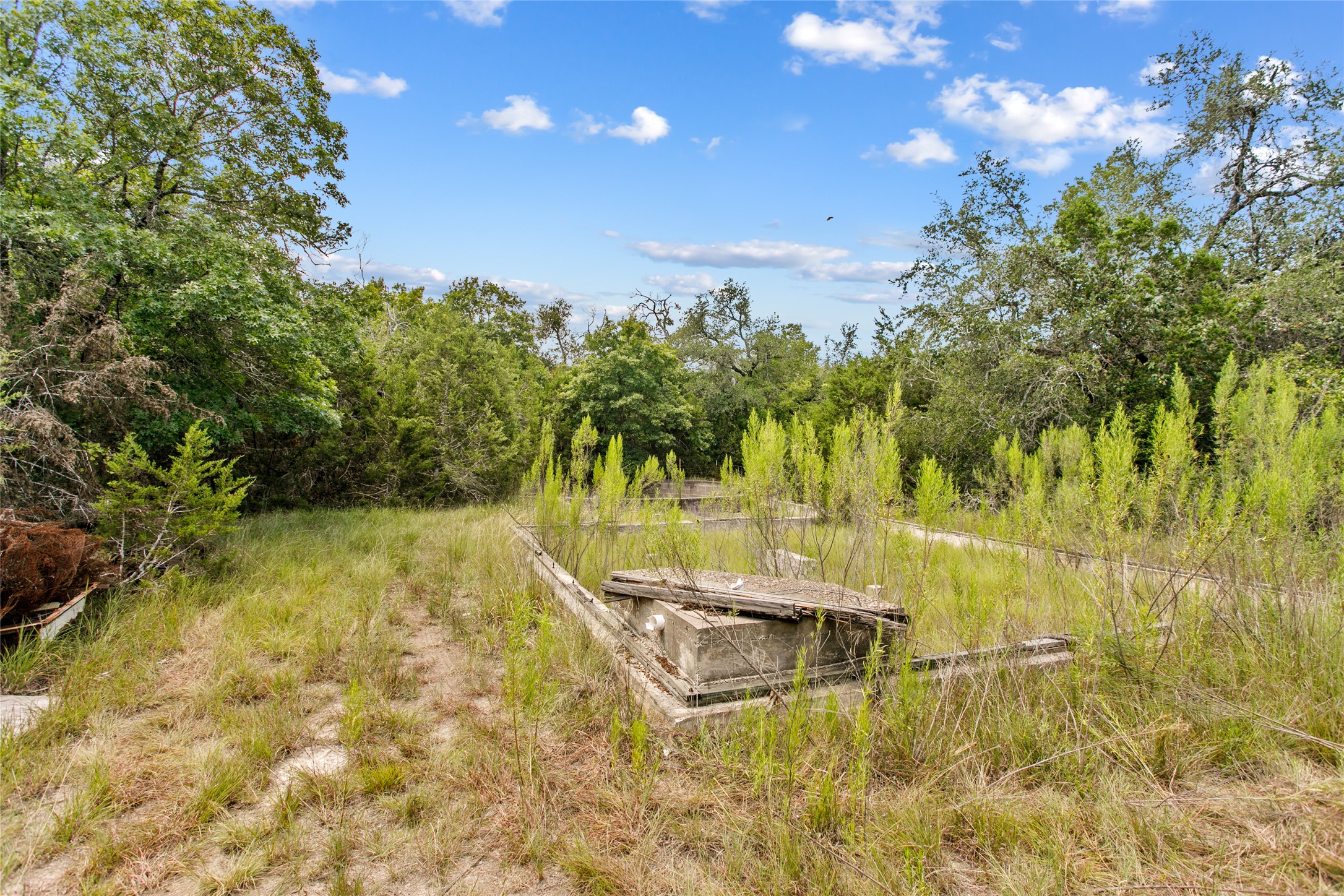 150 Oak Grove Drive Dripping Springs, TX 78620 - Photo 32 of 33 a view of swimming pool