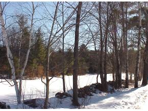 132 Senna Road Cavendish, VT 05142 - Photo 2 of 8