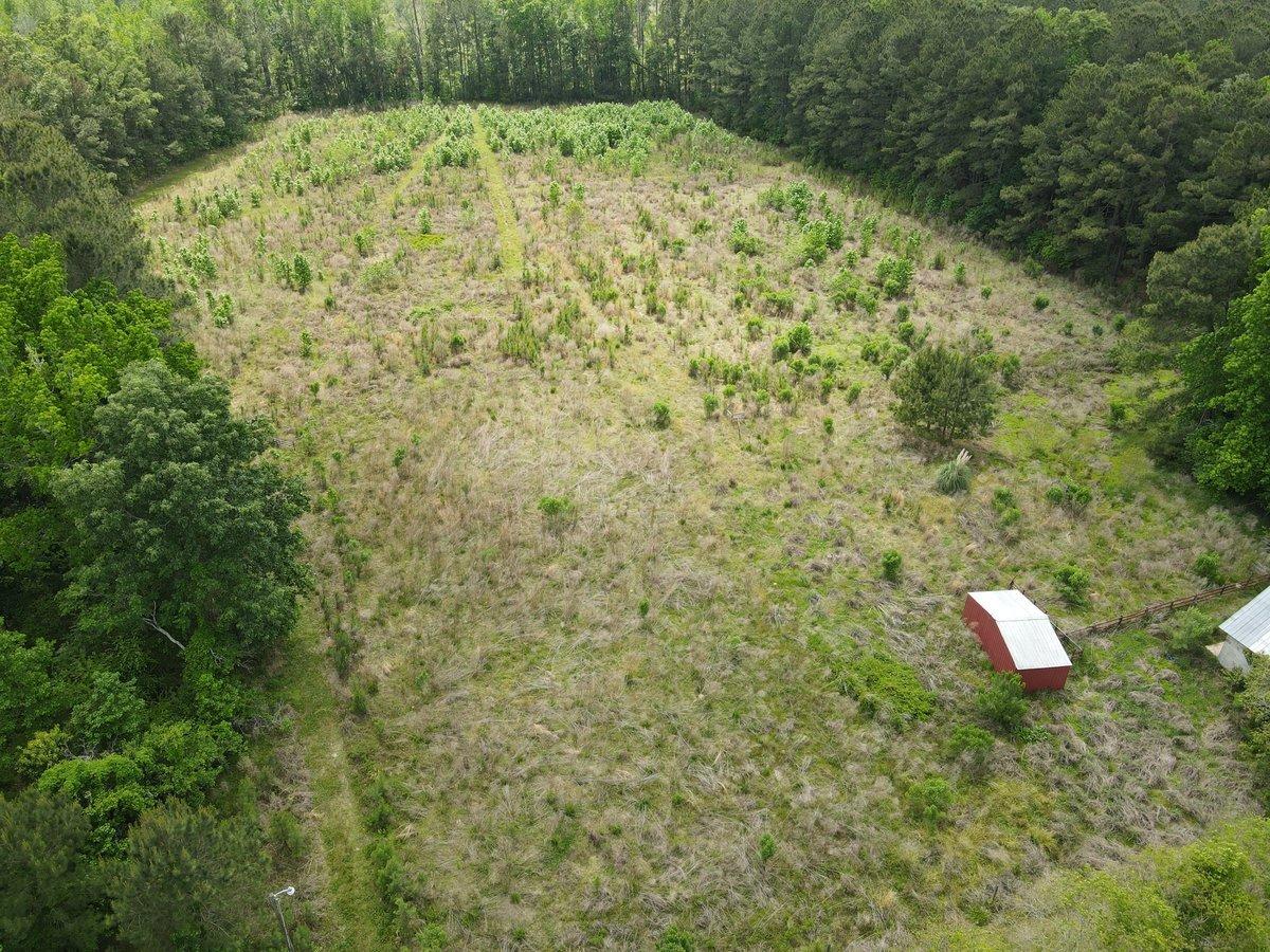 1059 Sc-61 Ridgeville, SC 29472 - Photo 12 of 13 26386032_DJI_0333