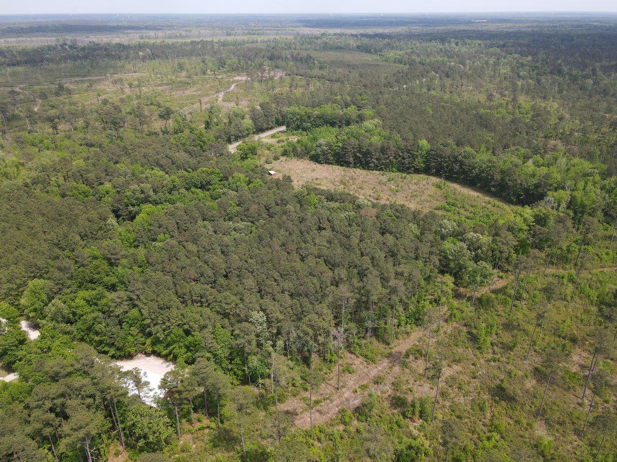 1059 Sc-61 Ridgeville, SC 29472 - Photo 9 of 13 26385999_DJI_0319