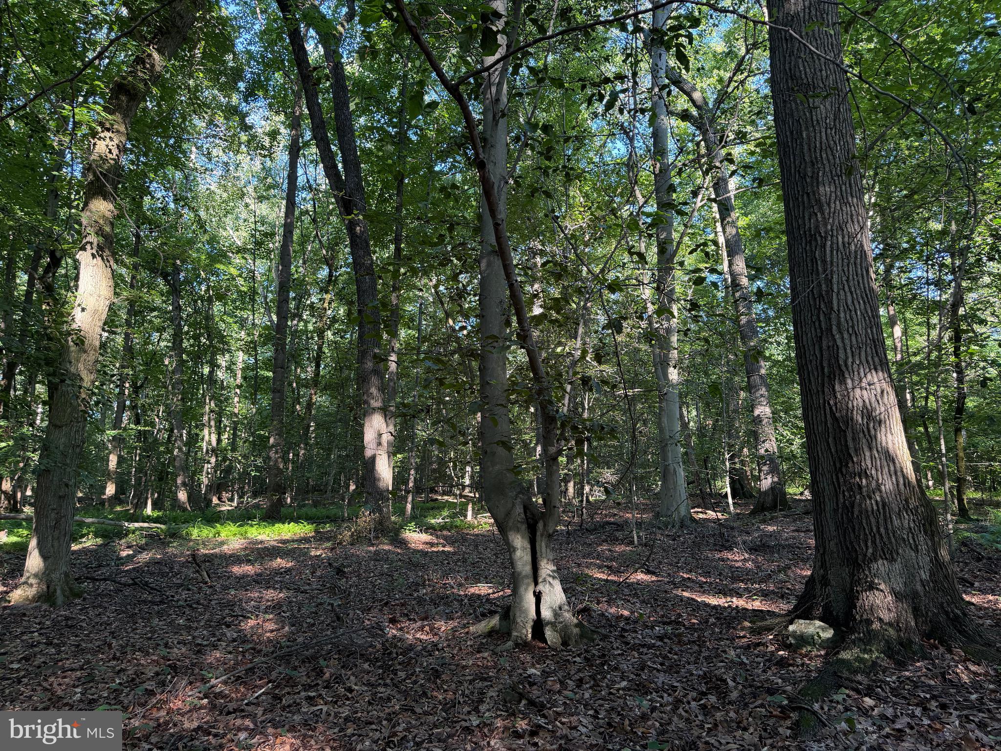0 Rock Springs Road Conowingo, MD 21918 - Photo 56 of 79