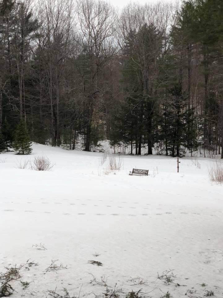 418 Cramm Road Parsonsfield, ME 04047 - Photo 17 of 19 18