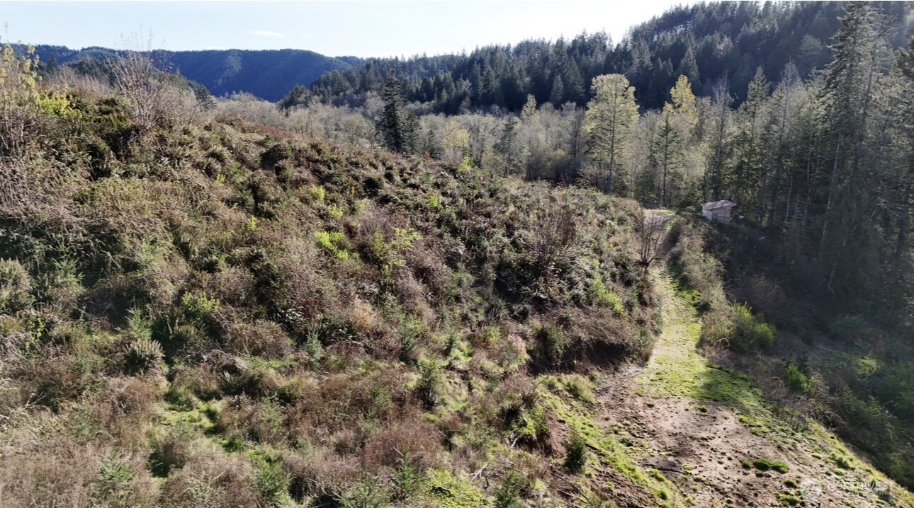 2916 Little Hanaford Road Centralia, WA 98531 - Photo 4 of 14