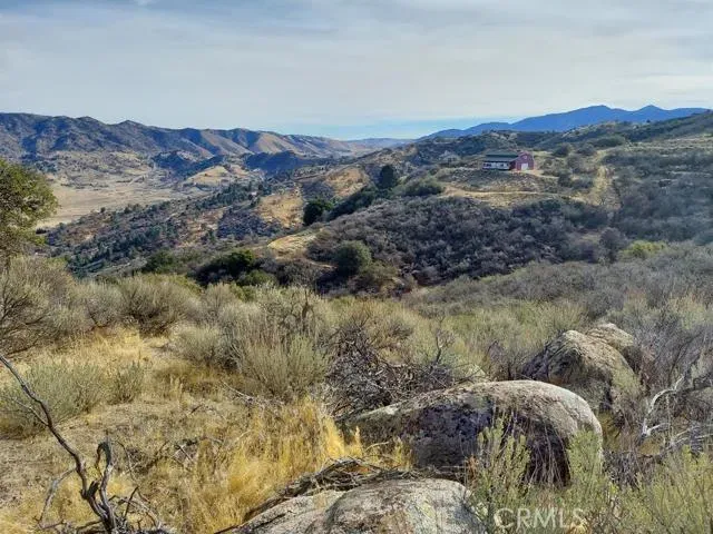 a view of a forest with mountains in the background