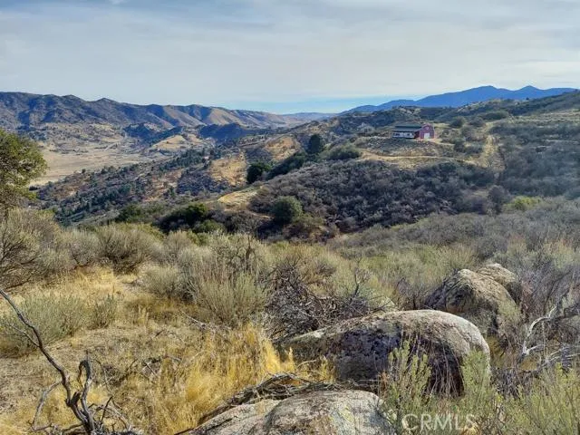 a view of a forest with mountains in the background