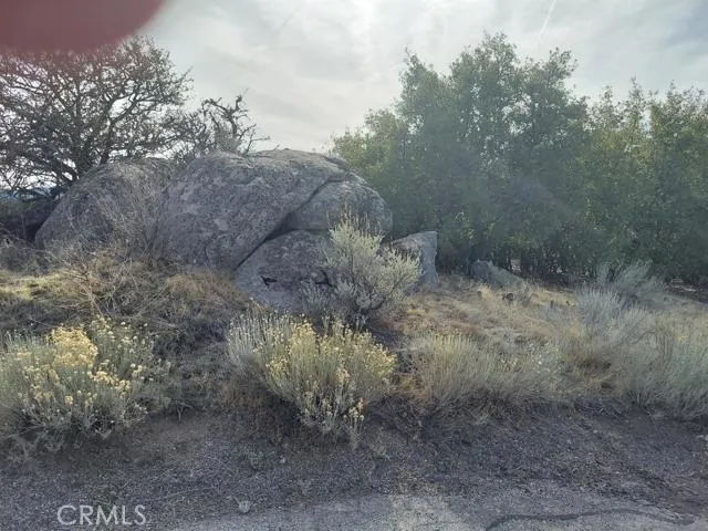 0 Amberwood Court Tehachapi, CA 93561 - Photo 2 of 8 a view of a dry yard with trees