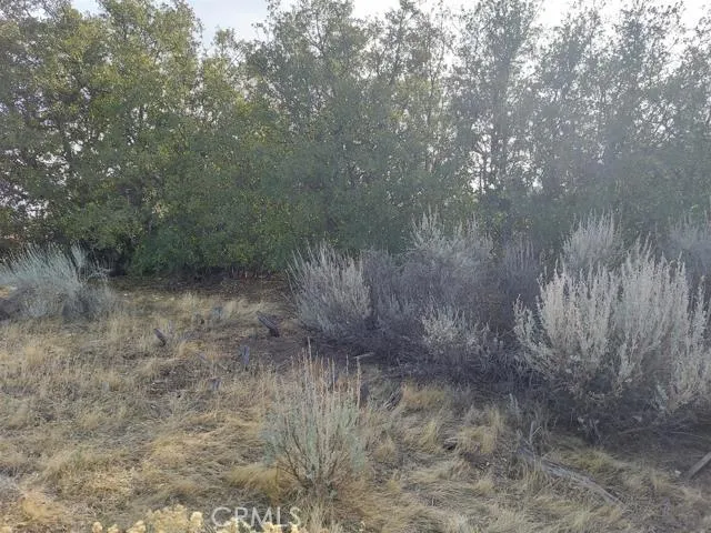 0 Amberwood Court Tehachapi, CA 93561 - Photo 6 of 8 a view of a dry yard