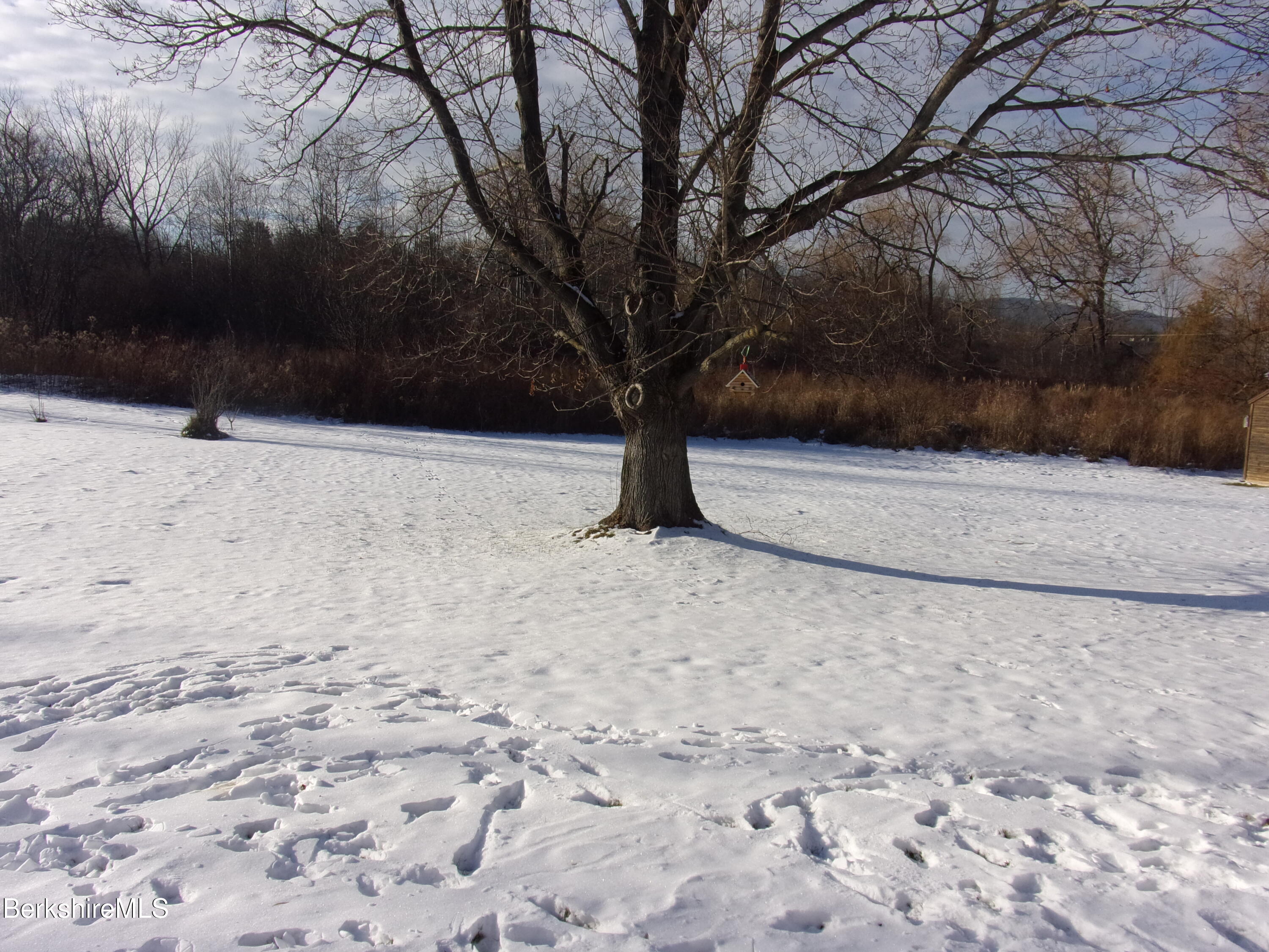 115 Luce Road Williamstown, MA 01267 - Photo 12 of 20 a view of backyard with green space