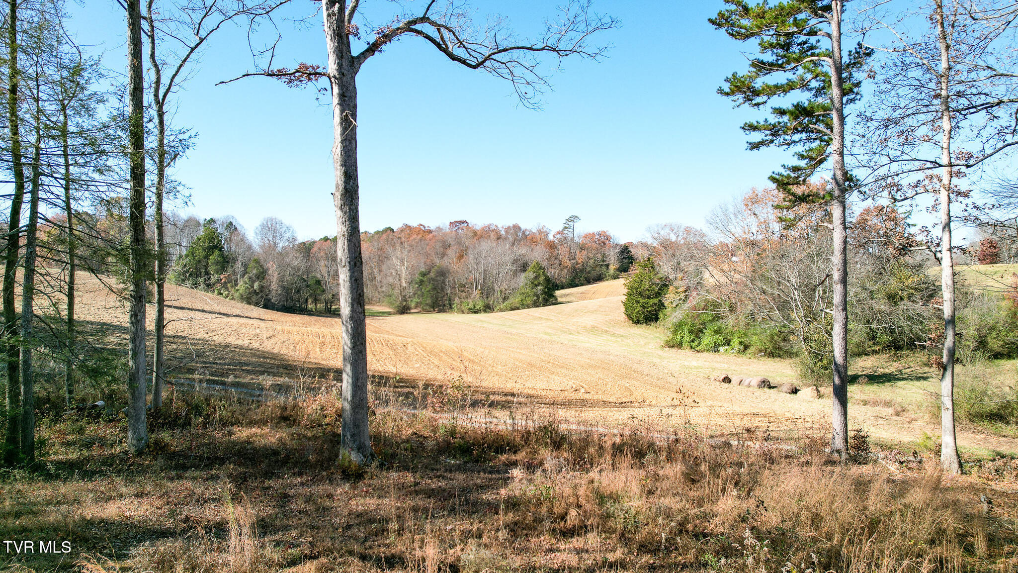 190 Treadway Road Chuckey, TN 37641 - Photo 25 of 34 DJI_0238
