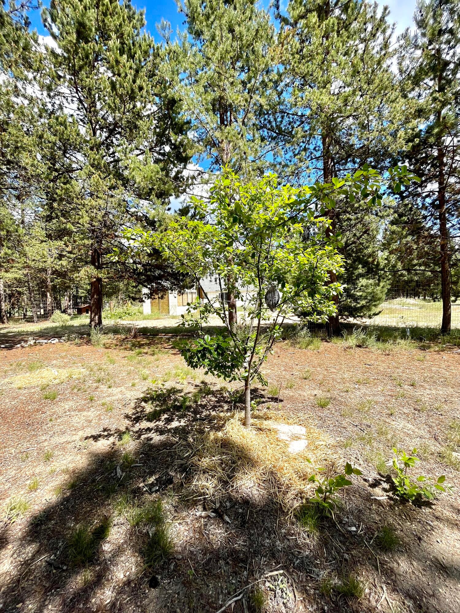 147024 Bills Road Gilchrist, OR 97737 - Photo 16 of 17 28829BF9-BF72-42E0-B07D-9200D7902177