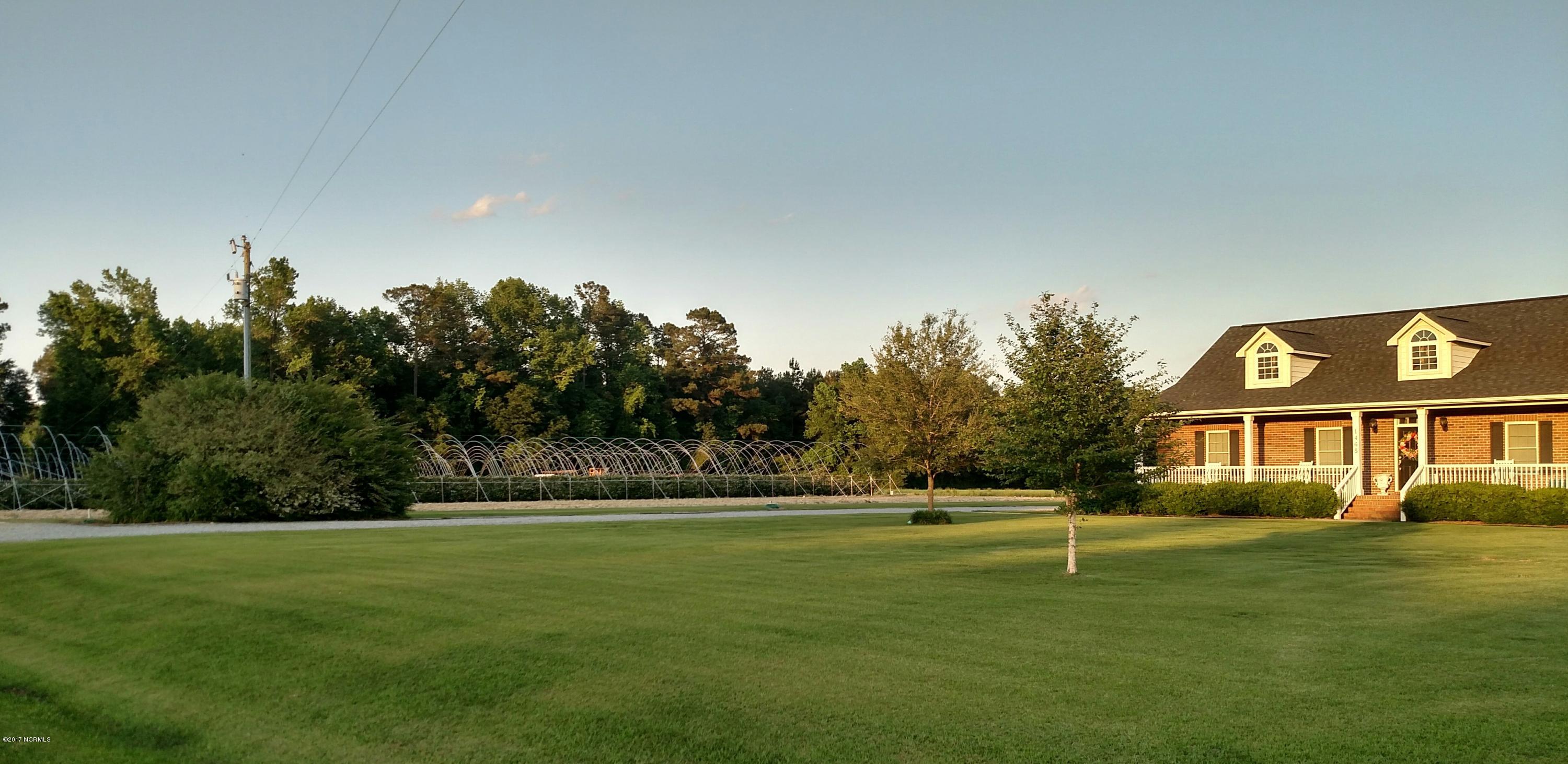 1465 Tedder Road Ivanhoe, NC 28447 - Photo 1 of 18 Front lawn