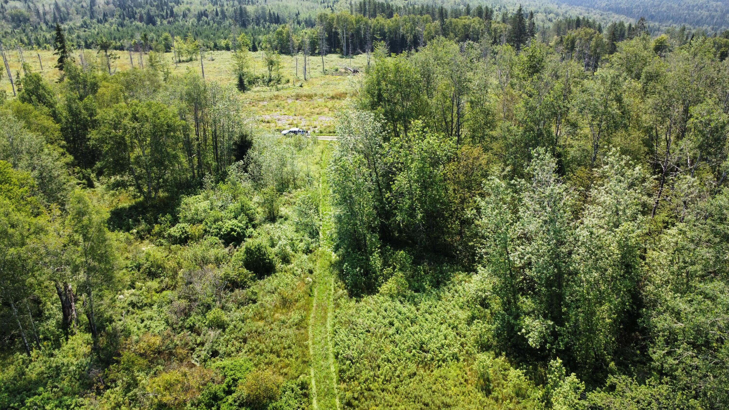 886 Grivois Road Grand Isle, ME 04746 - Photo 2 of 18 dji_fly_20240802_113402_667_172261307207