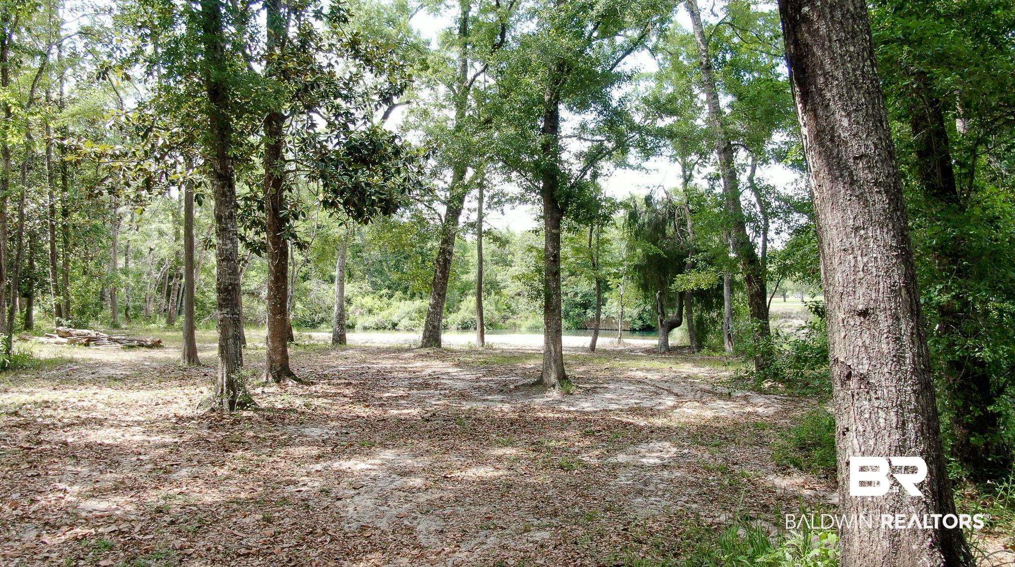 0 Richards Lane Foley, AL 36535 - Photo 1 of 14 Richards Lane