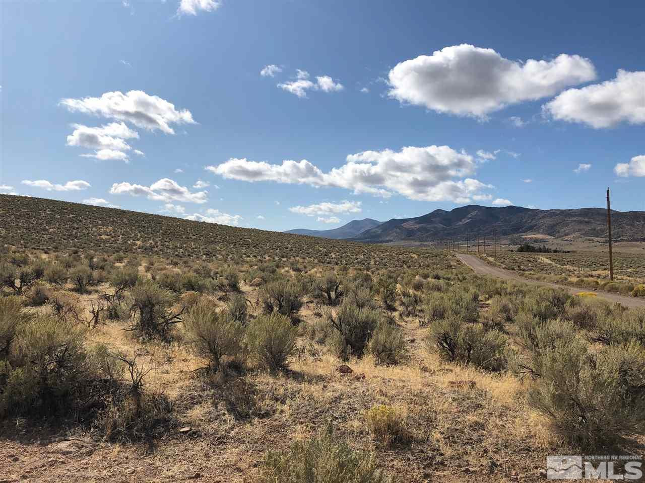 4500 Wild Horse Road Reno, NV 89510 - Photo 10 of 15 a view of a city