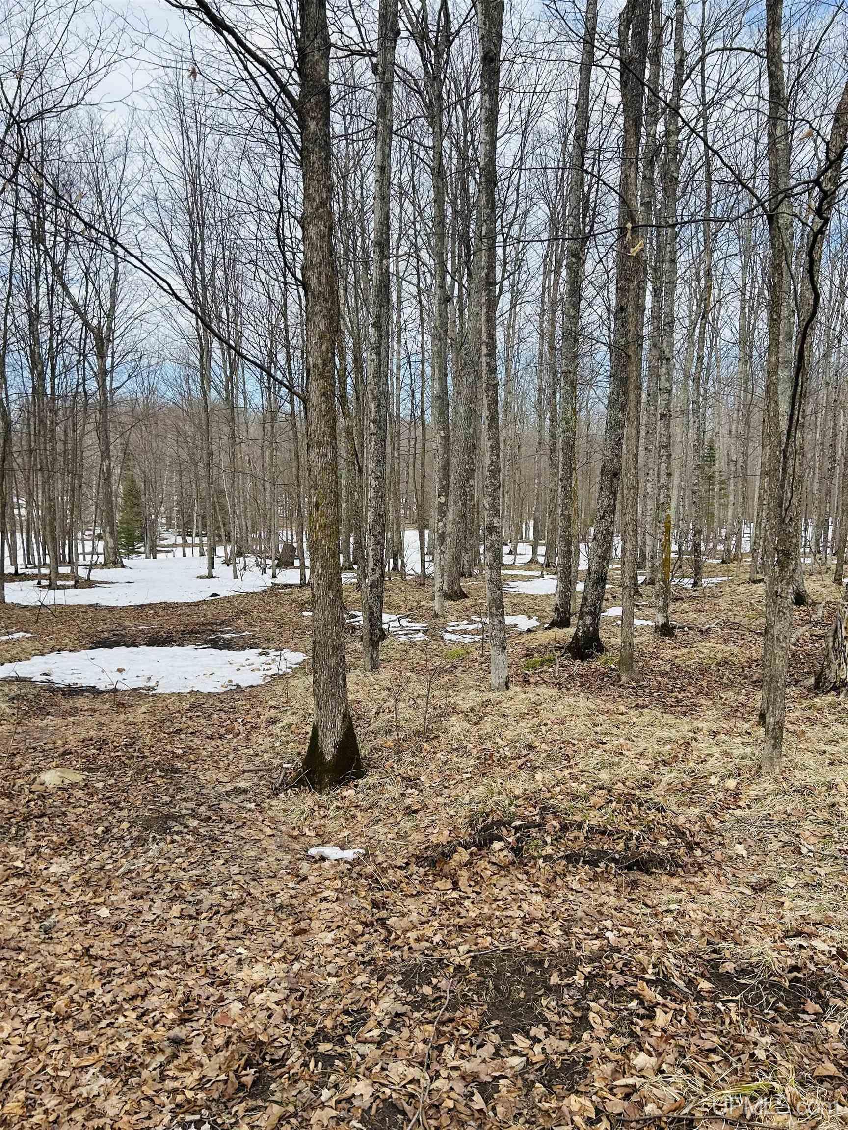 Lot#25 Fordville Road Foster City, MI 49834 - Photo 2 of 27
