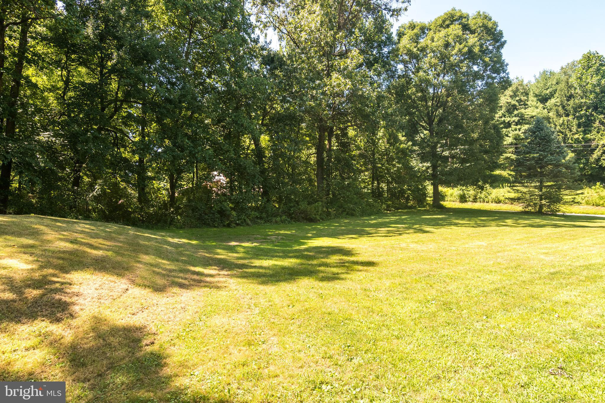 1495 Cocalico Road Birdsboro, PA 19508 - Photo 34 of 40 Side yard