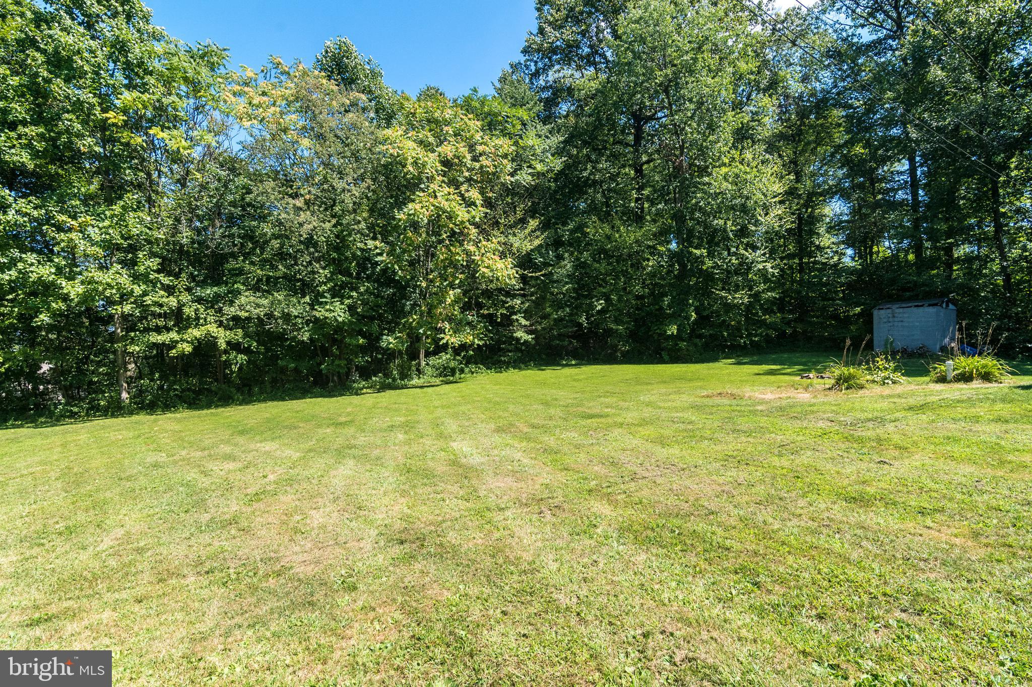 1495 Cocalico Road Birdsboro, PA 19508 - Photo 35 of 40 Side yard